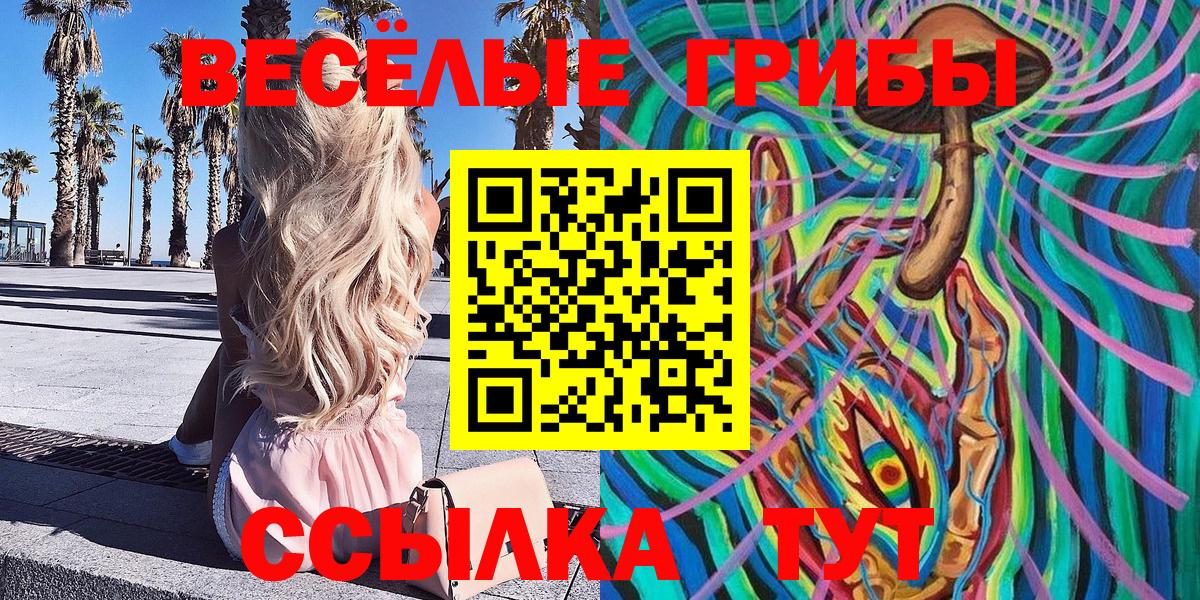 Галлюциногенные грибы Psilocybe  Вход с VPN  Ленинск-Кузнецкий  Псилоцибиновые грибы прущие грибы 