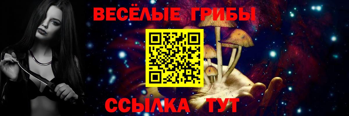 Псилоцибиновые грибы ЛСД Ленинск-Кузнецкий
